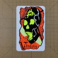 Skull_17